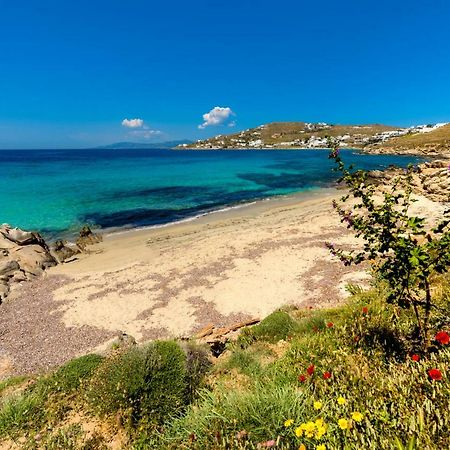 Amorous Luxury Villa Agios Ioannis Diakoftis Exterior photo